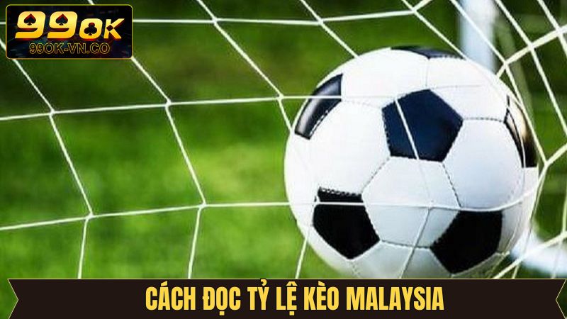 Hướng dẫn đọc kèo nhanh chóng cho người mới