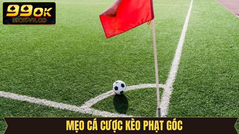 Một vài yếu tố giúp nâng cao khả năng thắng khi cược 